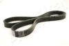 ASHIKA 112-5PK1240 V-Ribbed Belts
